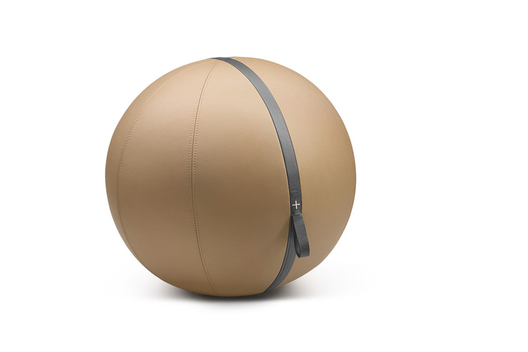 PENT. Exercise Sitting Ball